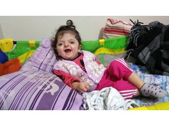 Minik Mira başka bedenlerde yaşayacak