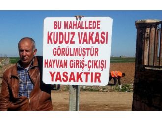 Şanlıurfa’da kuduz karantinası