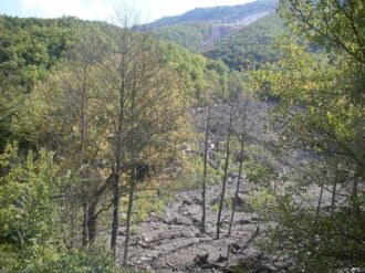 Ormanlık alanda 2 ceset bulundu