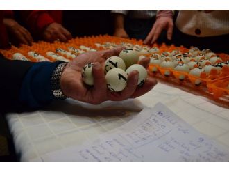 İşe alım kurasında skandal ! Toplardaki farklı numaralar salonu gerdi