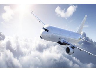 Motora kuş girdi sefer iptal oldu