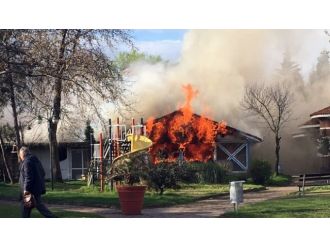 Alevler iki restoranı kül etti