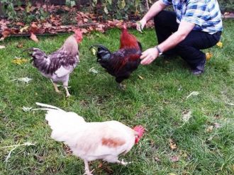 Erdoğan sevgisi bunu da yaptırdı