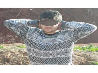 Üzerinde sözde PKK kimliği bulunan terörist yakalandı