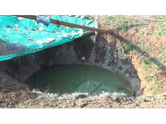 Küçük çocuk ihmal kurbanı