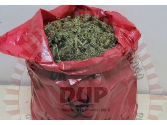 Diyarbakır’da 115 kilo esrar ele geçirildi