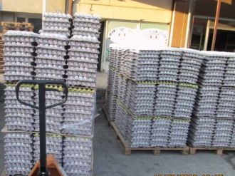 Tam 5 milyon adet bozuk yumurta ele geçirildi