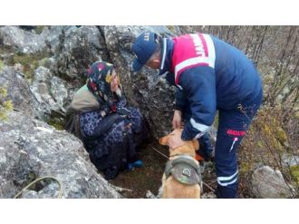 Kayıptı: 1 gün sonra böyle bulundu