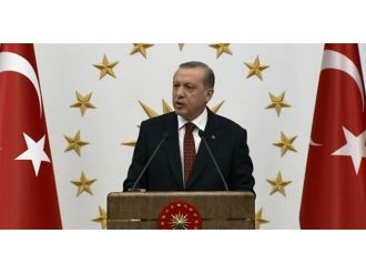 "Hayvandan daha aşağı konuma düşecekler"