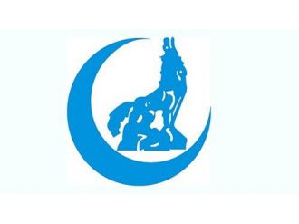 Ülkü Ocakları’ndan yıl boyu Ahmet Yesevi etkinlikleri