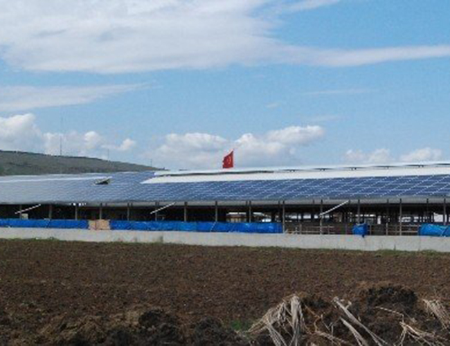 Enerji Üreten Doğa Dostu Çiftlik