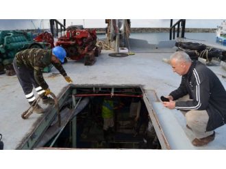 Hamsi avı bitti sırada orkinos var