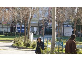 Çatışmalar yerini sessizliği bıraktı