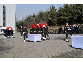 Şırnak şehitleri için tören düzenlendi
