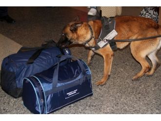 Havalimanında sıkı denetim