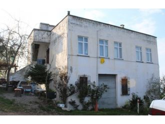 Yeğenini alnından vurdu