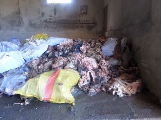 Yakalanmasalardı çürümüş sakatat yiyecektik