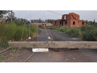 Aksaray’da şiddetli fırtına: çatılar uçtu, ağaçlar devrildi