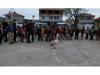 Davetsiz misafir öğrencilerin ilgi odağı oldu