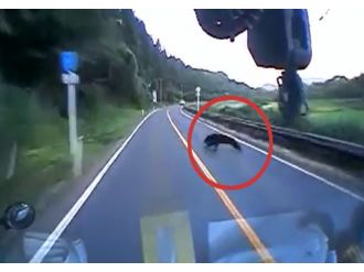 Her şey bir anda oldu!