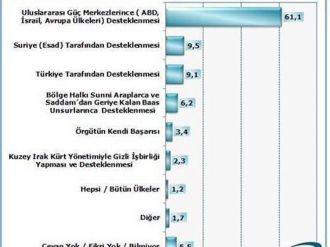 Türk halkına göre DEAŞ’i destekleyen ülkeler