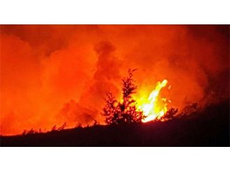 Çadır kentte yangın: 3 çocuk öldü, 6 kişi yaralandı