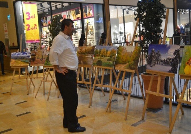 Doğanın Güzellikleri Sergilendi