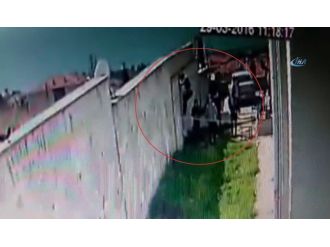 Okuldan kaçan "Örümcek Adam"lar hayrete düşürdü