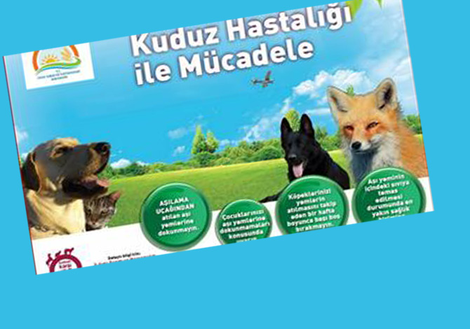 ​ Kuduz Mücadelesinde Havadan Aşılama