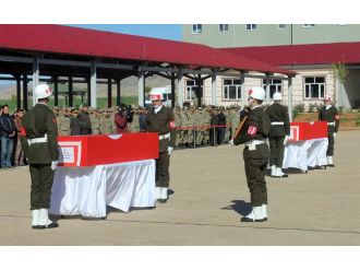 Nusaybin şehitleri memleketine uğurlandı