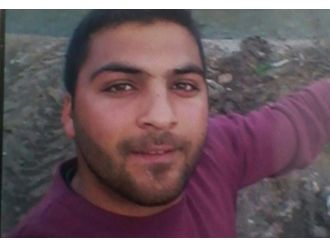 Zeytinlikte kanlı infaz