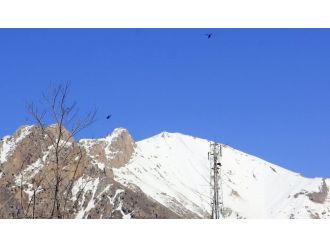 Uçak ve helikopterler o bölgeye yöneldi!