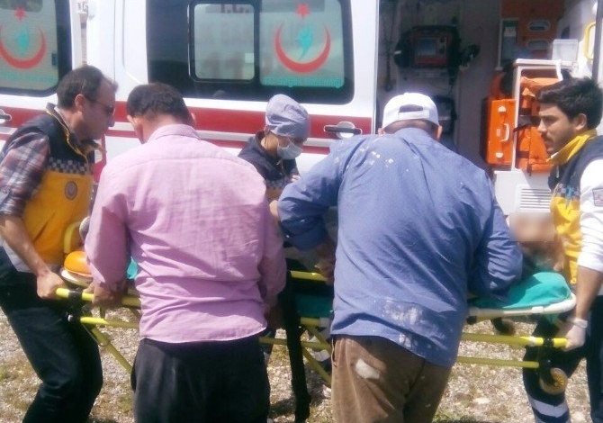 Araçlardan Ürken AT Sahibini Üzerinden Atarak Ölümüne Neden Oldu