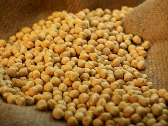 Fındık ihracatı 1.6 milyar doları geçti