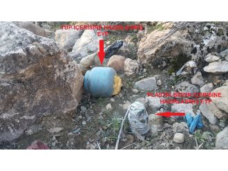 Hain tuzak imha edildi