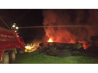 Hayvanlarını kurtarmak isterken yanarak can verdi !