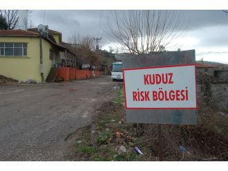 O ilde kuduz paniği