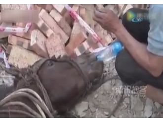 Kuyuya düşen at için seferber oldular