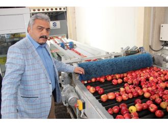 "50 bin ton elma depoda kaldı"