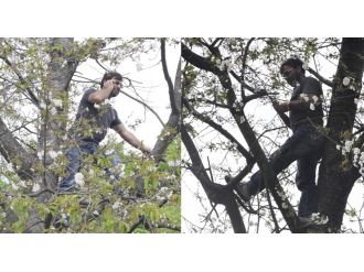 Her şey bir telefon görüşmesi için