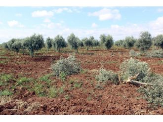 Kilis’e düşen roket mermisi 6 oldu