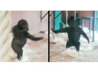 İzlenme rekorları kırıyor