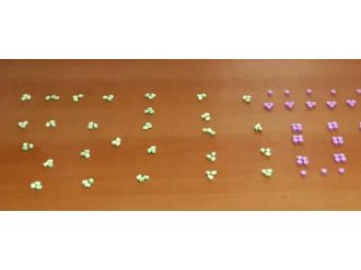 Manisa’da 2 bin uyuşturucu hap ele geçirildi