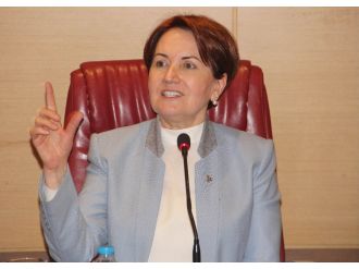 Genel başkan olursa MHP yüzde kaç oy alır ?