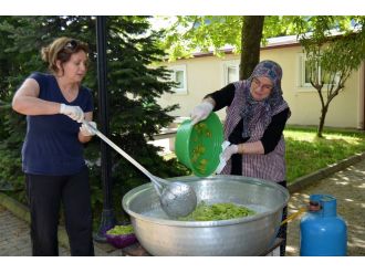 Yalovalı kadınlardan yeni lezzet: Kivi reçeli