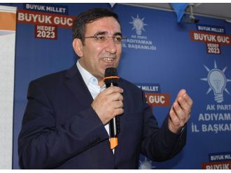 Kalkınma Bakanı’ndan ’ideal dönemde evlilik’ açıklaması