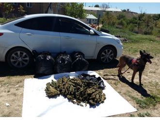 Jandarmadan kaçan araçta 50 kilo esrar ele geçirildi