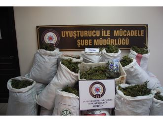 Serada 223 kilo esrar ele geçirildi