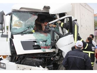 Kamyonda can pazarı