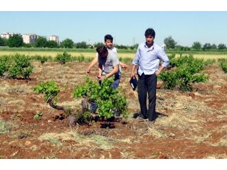 Kilis’e ikinci roket mermisi